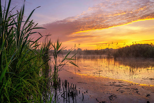 istock Beautiful sunrise over the lake 2210903202