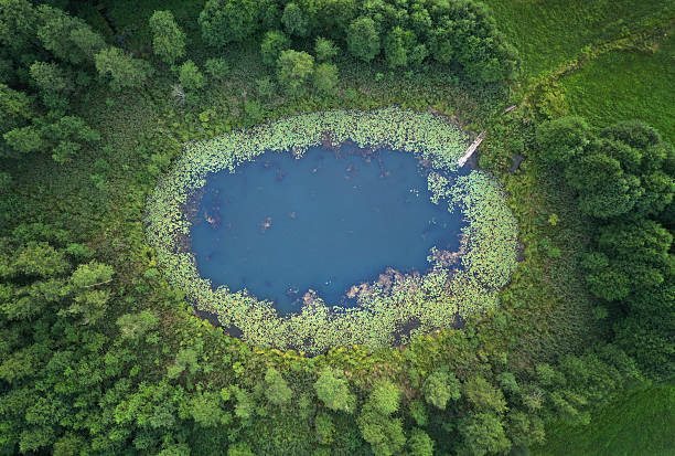istock Aerial view of small lake between the forest 2210903838