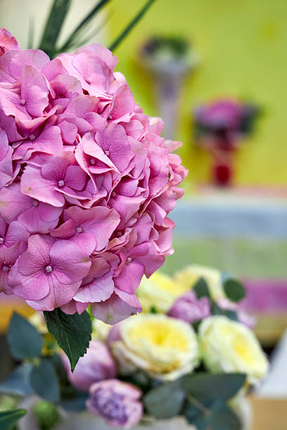 Floral background with pink hydrangea in a vase against a yellow wall
