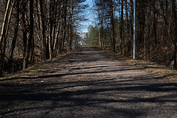 istock serene forest path with bare trees under blue sky, shaded by tall lampposts casting long shadows, leading towards distant buildings on a sunny winter day. avenue, daylight, environment, rustic 2210906444