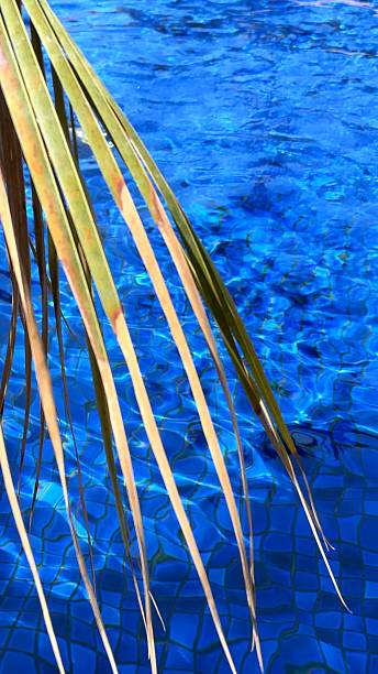 istock Swimming pool texture sparkles with tropical light, calm surface dances with soft waves, inviting colors enhance mood, perfect backdrop for wellness escape or quiet tourist attraction. 2210906911
