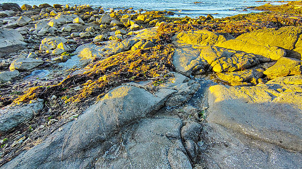 istock Rocks at border of atlantic ocean, punta del este, uruguay 2210908681