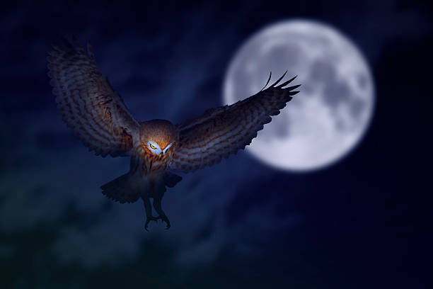 istock An owl flying in front of the full moon. Nature background. 2210914622