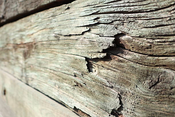 istock Weathered wood textures display intricate natural grain patterns that are visually appealing 2210915597
