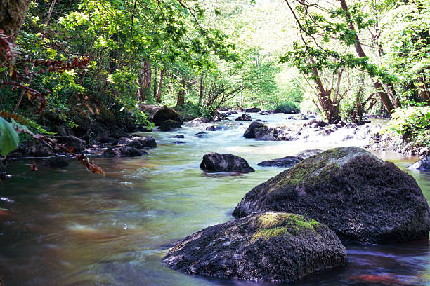 The Granite Trail and the Rouvre in Normandy reveal themselves in a peaceful and captivating atmosphere. At the heart of this natural landscape, the river meanders between moss-covered rocks, their rough surfaces harmonizing beautifully with the gentle flow of the water. Light filtering through the lush foliage creates a serene ambiance, where every detail—from the reflections on the water to the organic textures—invites full immersion in the beauty of the Norman countryside.