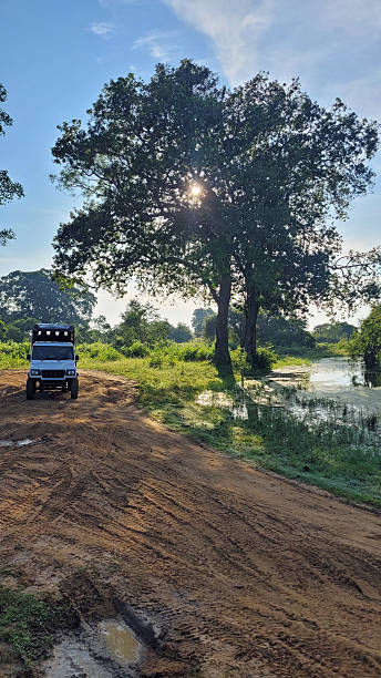 istock scenic landscape in yala 2210919582