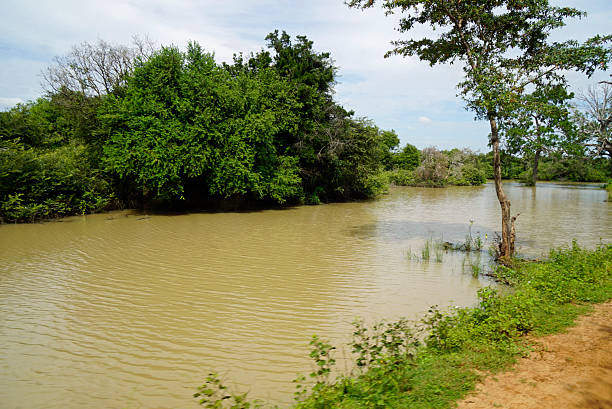 istock scenic landscape in yala 2210919964