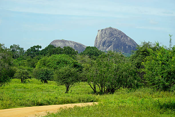 istock scenic landscape in yala 2210920125