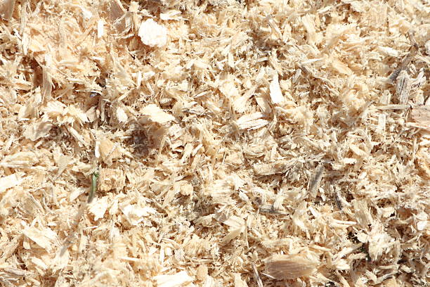 Natural wood shavings offer a versatile and aesthetically pleasing background for various crafts and design projects