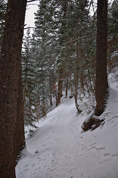 istock Tibble Fork Loop hiking winter storm snow views of trail Lone Peak Wilderness Uinta Wasatch Cache National Forest, Rocky Mountains, Utah. United States. 2210922398