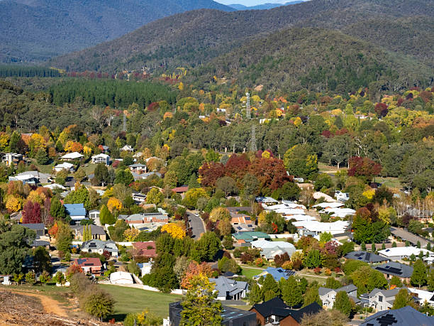 istock High angle view of houses and trees 2210922821