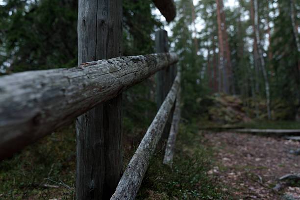 An old pole fence in an ancient nordic forest hiking trail.