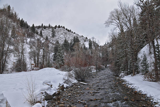 istock Tibble Fork Loop winter storm snow views from hiking trail Lone Peak Wilderness Uinta Wasatch Cache National Forest, Rocky Mountains, Utah. United States. 2210923445