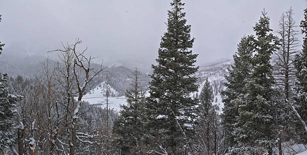 istock Tibble Fork Loop winter storm snow views from hiking trail Lone Peak Wilderness Uinta Wasatch Cache National Forest, Rocky Mountains, Utah. United States. 2210923498