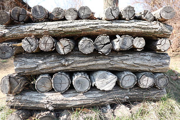 A visually appealing arrangement of stacked logs showcasing their natural texture in a rustic environment.