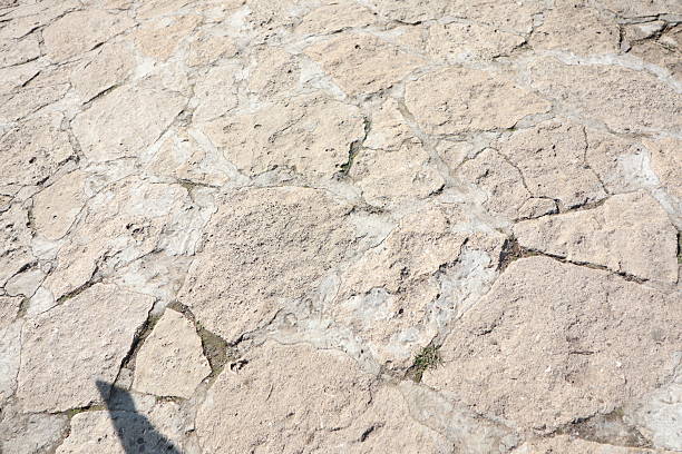 Discover a captivating rock surface with stunning natural patterns and textures in an outdoor setting