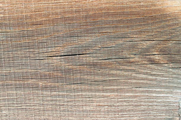 A beautifully detailed wooden texture featuring natural lines and various color variations, perfect for design projects