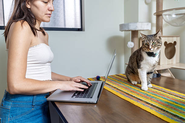 istock Young woman working from home with her cat 2210928404
