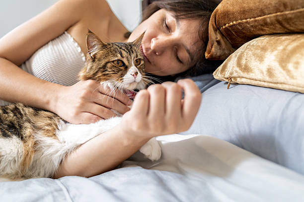 istock Young woman relaxing in bed with her cat 2210928426