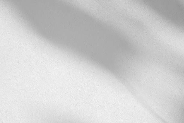 istock Abstract natural tree leaves shadow on white wall background 2210931964