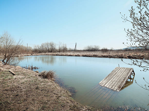 A serene and peaceful pond scene showcasing a weathered wooden dock and bare trees beneath the bright clear blue skies