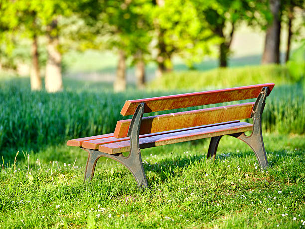 A peaceful outdoor scene featuring a wooden bench surrounded by grassy meadows and trees. Sunlight filters gently, creating a calm and contemplative atmosphere for relaxation and enjoyment of nature's beauty.