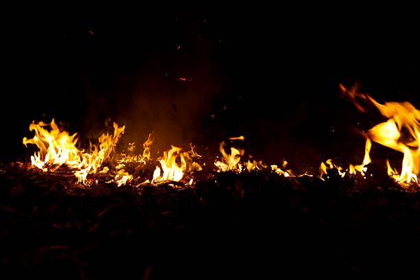 istock Close up of New England Brush Fire 2210940478