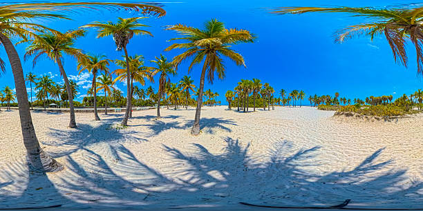 istock Tropical palms Crandon Park Miami Beach. 360 VR equirectangular photo 2210940709