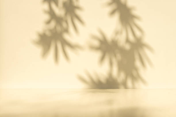 istock Studio style background wall decoration presentation uses white and beige tones. with shadows cast from a nearby window, concept creating a decorative 2210945295