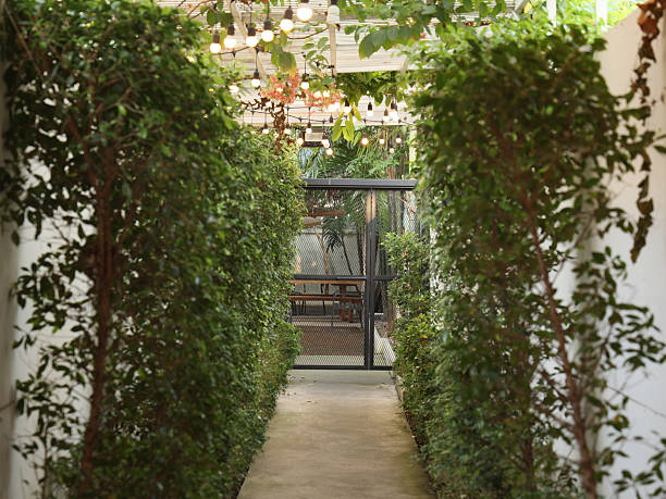 istock Enjoy a charming pathway embedded in lush greenery adorned with stylish, inviting lighting 2210946360