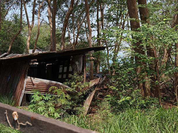 istock An Abandoned Structure Enveloped by Natures Beauty and Serenity Awaits Exploration 2210947643