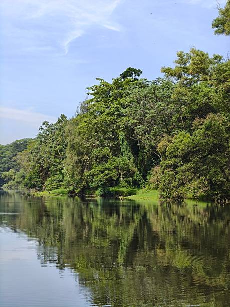 istock city light & beautiful landscape lake 2210948664
