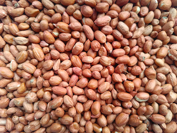 istock Pile of raw peanut seeds. 2210954273