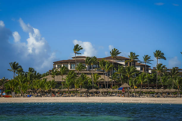 Palm trees with an early evening sky in Punta Cana, Dominican Republic