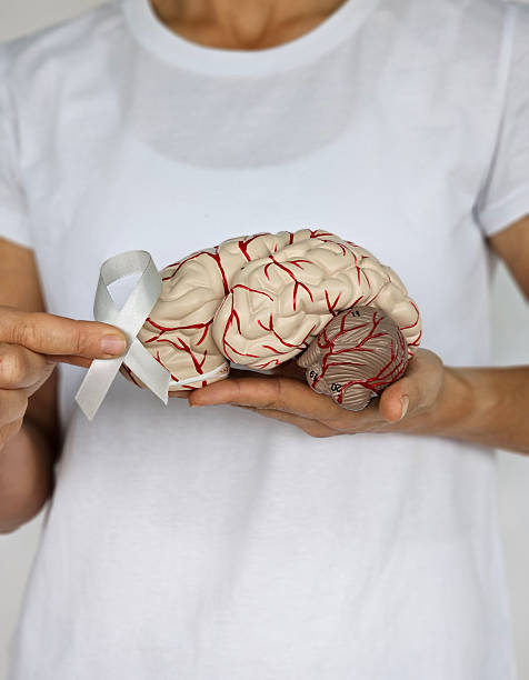 istock Woman holding a brain model and a gray ribbon symbolizing brain 2210955321
