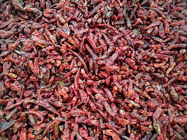Dried Fruit of Chili pepper, also known mirchi. The group of many chili peppers  photo. Use of capsicum in test of food.