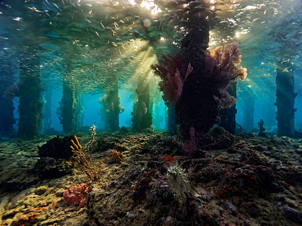 Mystical lighting atmosphere under the jetty