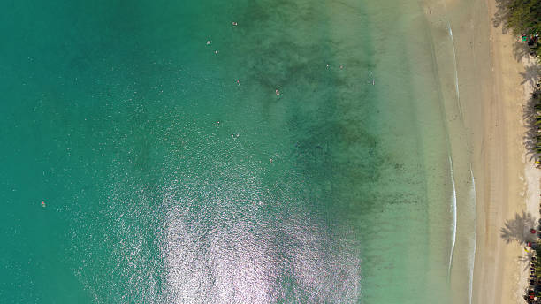 istock Crystal clear water meeting sandy beach in tropical paradise 2210957976