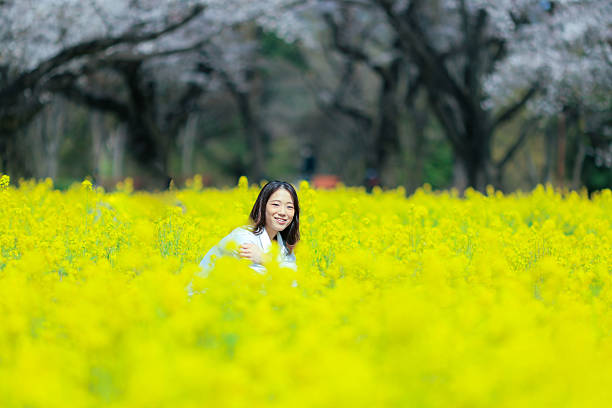 Cherry blossoms in park, Tachikawa Japan
