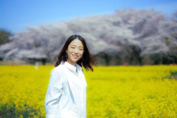 Cherry blossoms in park, Tachikawa Japan