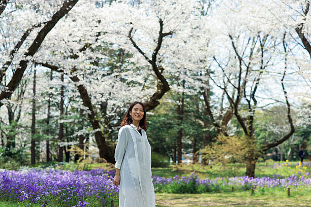 Cherry blossoms in park, Tachikawa Japan