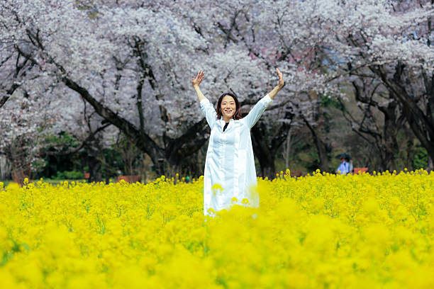 Cherry blossoms in park, Tachikawa Japan
