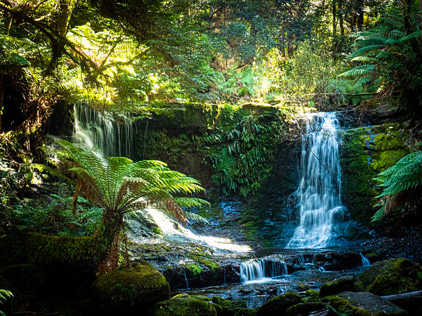 istock Horseshoe Waterfall - Mt Field Nation Park 2210963945