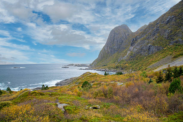 Colorful fall hilly heathland on large rocks with wildflowers and mosses in Artwork Nordland (Skulpturlandskap) in Lofoten island chain archipelago in Norway with background of sea and mountains