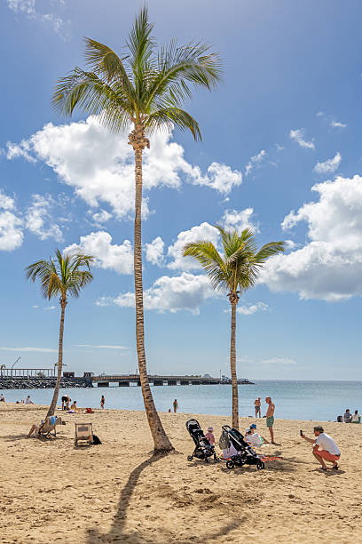 Arrecife, Lanzarote, Canary Islands, Spain - February 28th 2025: This inviting image captures a serene beach scene in Arrecife, Lanzarote. A tall palm tree stands prominently in the foreground, providing shade for a row of sun loungers where a visitor relaxes. The golden sand stretches toward a rocky breakwater, separating the beach from the calm ocean waters. Along the promenade, lampposts and structures add a touch of urban charm, blending seamlessly with the island’s natural beauty. The clear blue sky, dotted with a few clouds, enhances the peaceful atmosphere, making this a perfect representation of Lanzarote’s coastal allure.