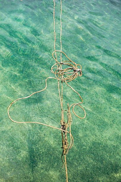 This intriguing image captures a tangled rope floating in the green-hued waters of Arrecife Harbor, Lanzarote. Partially submerged, the rope’s texture and details are clearly visible through the transparent water, creating a striking contrast between the man-made object and the natural aquatic environment. The interplay of light and shadow on the water’s surface enhances the depth and movement of the scene, evoking themes of maritime industry, coastal life, and environmental awareness.