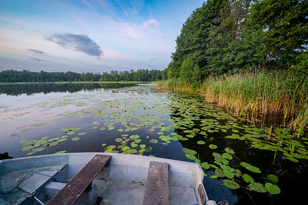 Beautiful morning on the summer lake