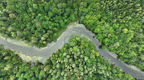 istock Natural river in the forest - aerial view 2210965361