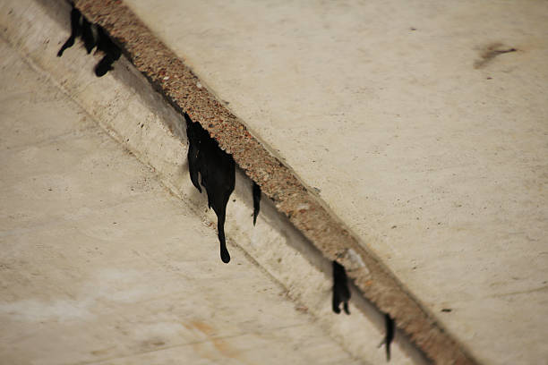istock Dry asphalt that have dripped through the cracks 2210965506