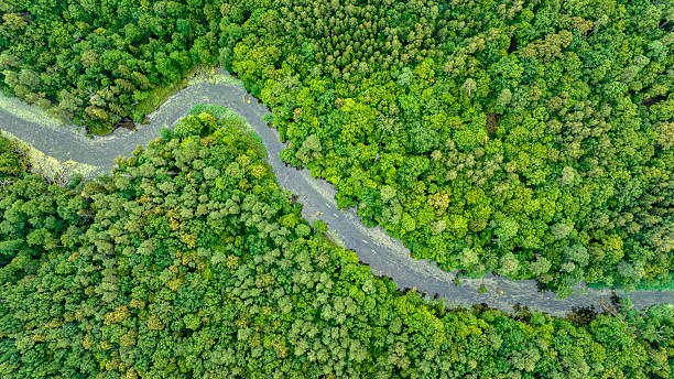 istock Natural river in the forest - aerial view 2210965891